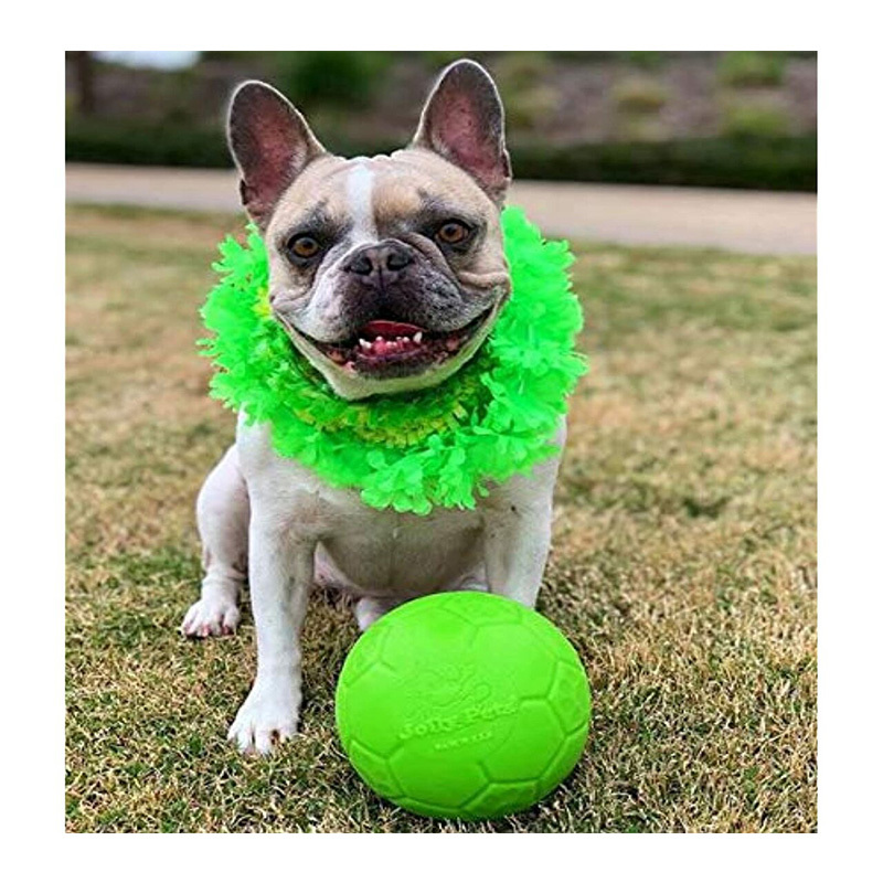 JOLLY PETS SMALL GREEN SOCCER BALL